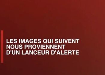 La vidéo choc de Greenpeace