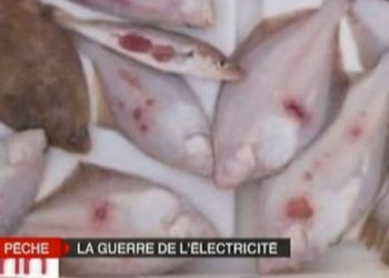 LA PECHE ELECTRIQUE-Video