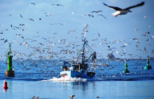 مندوبية الصيد البحري بالناظور مجهودات كبيرة و اكراهات أكبر