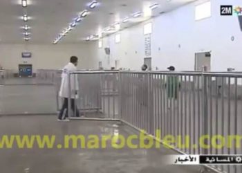 شلل تام بسوق السمك بالجملة بميناء آسفي