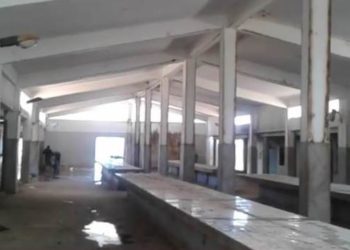 كارثة السوق البلدي للسمك والنفايات السامة