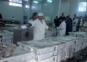 شلل تام يوم 01 فبراير 2016 بسوق السمك بالداخلة