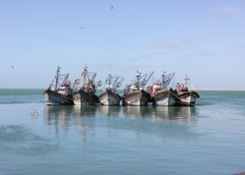 ميناء الجزيرة الداخلة 2016