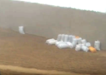 فوق القانون..انتاج الأسمدة السمكية القاتلة وسط متلاشيات صناعية