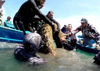 كلنا ابطال – جمعية أبطال الفنيدق للصيد الرياضي تحت الماء و المحافظة على البيئة