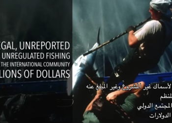 مبادرة النمو الأزرق