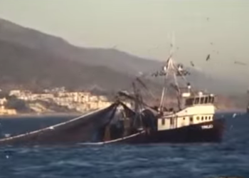 الجزائر تنخرط في مبادرة النمو الازرق