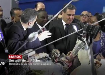 Salon international «Halieutis»: un grand rendez-vous à Agadir