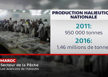 ;Plan Halieutis;: quelles avancées depuis 2009?