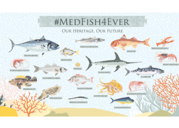 Seafood Expo 2016 – Zakia Driouich Maroc #MedFish4Ever