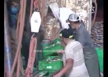 روبرتاج قناة العيون الجهوية حول الصيد البحري يالعيون