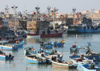 رئيس تعاونية اليكسوس يتهم المندوبية الفرعية بأصيلة بعرقلة تسوية عمل الصيادين التقليدين النازحين من العرائش