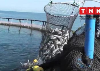 مزارع الأسماك في تونس
