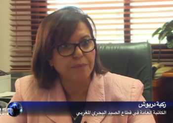 الطحالب بالمغرب