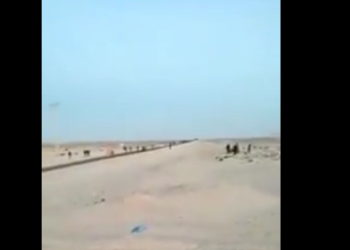 شريط يكشف البلطجة بنقطة الصيد تشيكا