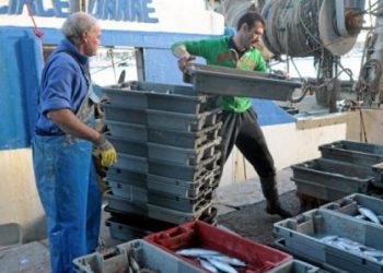 Poisson : pourquoi la production française est en panne