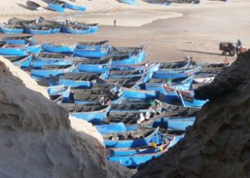 الصبار يشيد بمجهودات الكتفدرالية الوطنية للصيد التقليدي في تامين البحارة