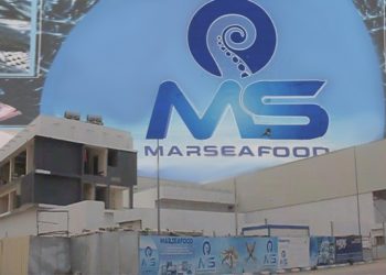 الداخلة نحو العالمية بأكبر وحدة للصناعات السمكية في افريقيا