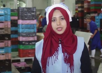 العركوب فيش على قناة الاولى