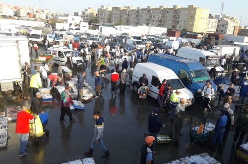 لهذه الاسباب سيغلق أخنوش سوق السمك للبيع بالجملة بالهراويين.