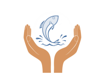 الاستدامة المدخل لاستراتيجية اليوتيس