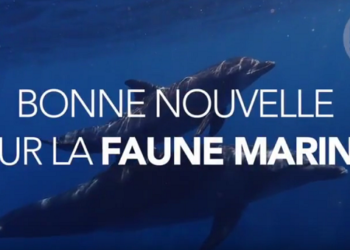 LEspagne crée une vaste zone de protection marine