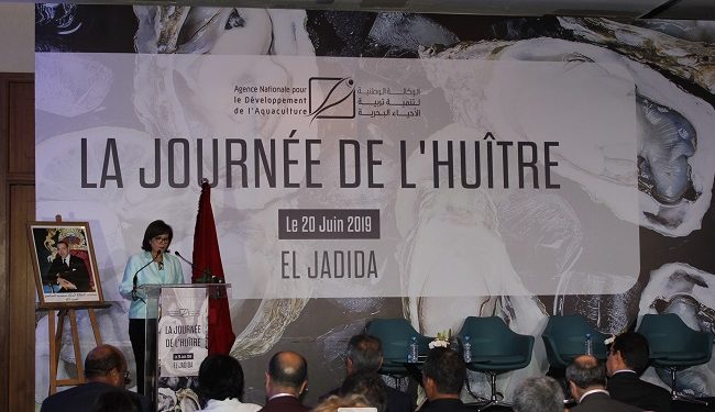 الدريوش تترأس الدّورة الأولى ليوم المحار بالجديدة