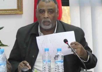 المساعي الدبلوماسية في ظل الحرب الباردة بين الصيد الساحلي و الصيد بأعالي البحار