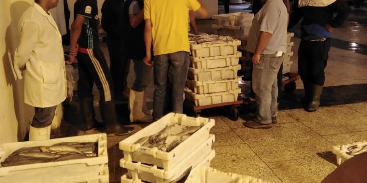 مصالح ONSSA تنظّف سوق “بنسودة” بفاس من النفايات السمكية.