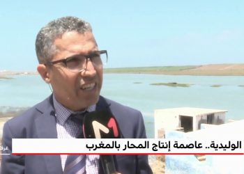 لوليدية.. عاصمة إنتاج المحار بالمغرب
