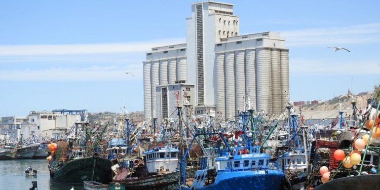 آسفي:  “الحبّار” محور لقاء تواصلي لمهني الصيد بالخيط