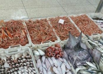 المكتب الوطني للصيد بالعيون يفند الاشاعات….