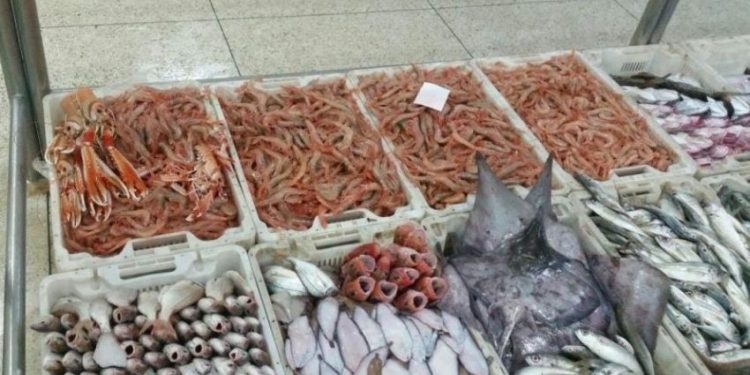 المكتب الوطني للصيد بالعيون يفند الاشاعات….