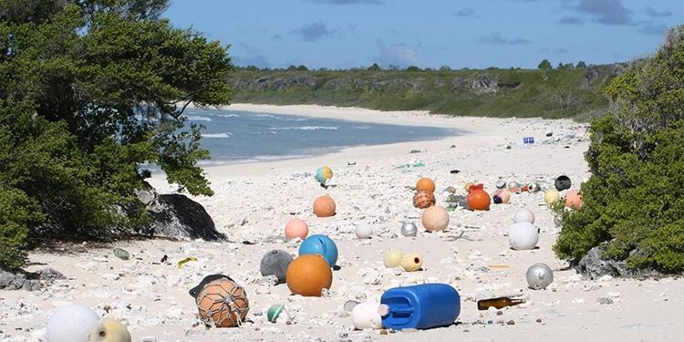 بعد تصنيفها تراثا عالميا للبشرية ، جزيرة هندرسون تتحول الى أكبر مطرح للنفايات البلاستيكية