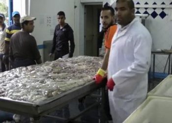 الاعلام الموريتاني يتابع باهتمام “جولدن جولف-مارسي فوود”عملاق  تثمين الأخطبوط