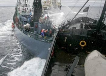 لجنة تحقيق في حادثة دهس مركب الصيد “أخواني” تحل بالداخلة