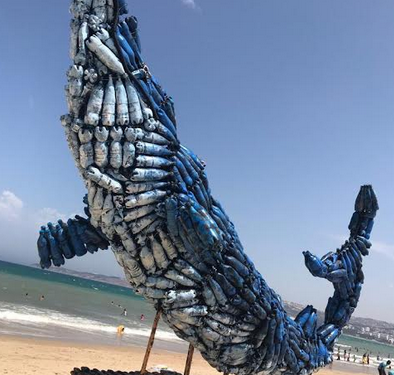 حوت أزرق على شاطئ طنجة