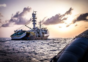 الولايات المتحدة الامريكية تصنف كوريا الجنوبية دولة” الصيد الغير الشرعي”