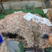 مصيدة طرفاية قربان ل RSW و معامل دقيق السمك، باسم مكافحة “الرابوز”.