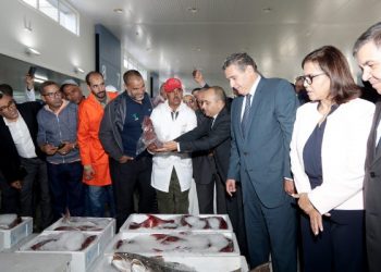 أخنوش:من حق المواطنين المغاربة، أن يتناولوا الأسماك الطرية، وبأثمنة مناسبة،
