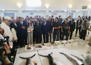طنجة تستكمل منظومة الصيد و تجارة السمك، باطلاق سوق السمك للبيع الثاني