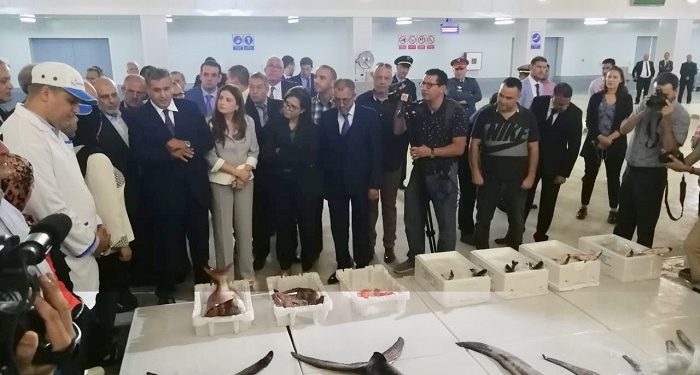 طنجة تستكمل منظومة الصيد و تجارة السمك، باطلاق سوق السمك للبيع الثاني