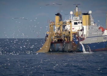 an ocean mystery