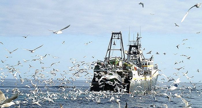 الموارد البحرية ضرورية لتعزيز الاقتصاد في شرق إفريقيا