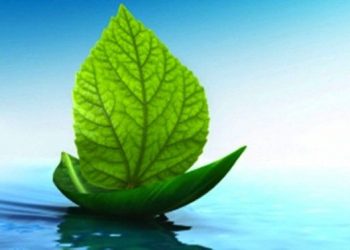 النرويج تطلق مبادرة سفن الشحن الخضراء