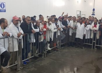 تجار السمك بميناء أكادير ينددون بتراخي السلطات في تنفيذ القانون.