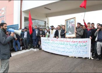 قطاع تجارة السمك،نقذ ذاتي و دعوة لاستئناف المسار