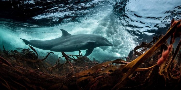 Le Maroc en force à Oslo pour la 6ème Conférence internationale Our Ocean
