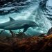 Le Maroc en force à Oslo pour la 6ème Conférence internationale Our Ocean