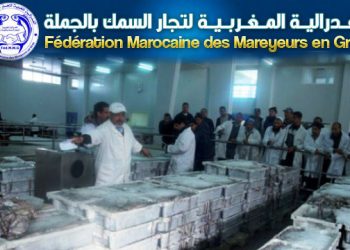 بعد مرحلة تأمل ، الفدرالية المغربية لتجار السمك بالجملة تعقد جمعيتها العامة .
